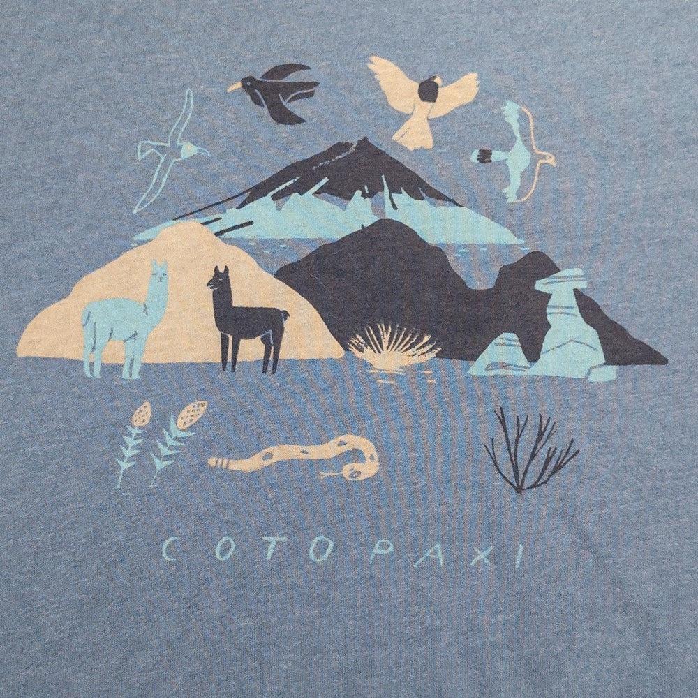 Cotopaxi Long Sleeve Shirt Mens Large Blue Graphic Mountain Llama Outdoor Tee